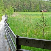 steinegg obergummer sternenweg planetenweg moor