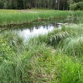 steinegg obergummer sternenweg planetenweg moor feuchtwiesen