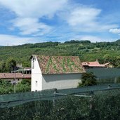 montan ortsteil kalditsch kapelle bei hof doladizza