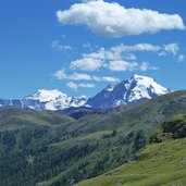aussicht ab sesvennahuette richtung ortlergruppe