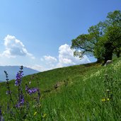 leiferer hoehenweg bei seit wiesen