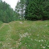 weg proveis nach stierbergalm