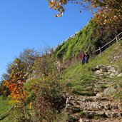 weg von tiroler kreuz nach muthoefe herbstwald