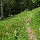 weg proveis nach stierbergalm