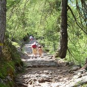 wanderer aufstieg zur moschwaldalm