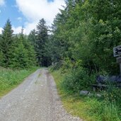 forstweg zur moarhof alm weg