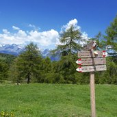 forstweg moschwaldalm hafling wanderwege wegweiser