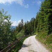 forstweg zur moarhof alm weg