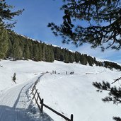 plose afers wanderweg winter