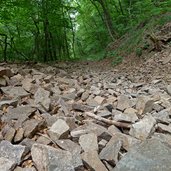 geroell auf weg nach aldein