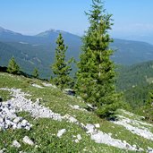 oberholz aussicht weisshorn schwarzhorn