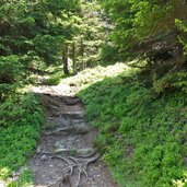 wandersteig zur gruenbachalm