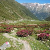 upital upiatal weg nr almrosenboden