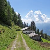 forstweg bei untere gruenbachalm