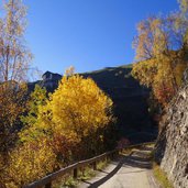 muthoefe strasse herbst