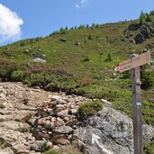 pfad zum gruenbachsee nr