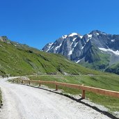 pfitscher joch strasse radfahrer