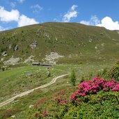 blick auf obere gruenbachalm