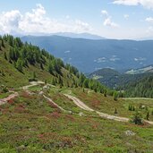 pfad zum gruenbachsee nr