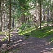 waldweg nr sergs meransen