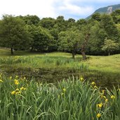 tuempel bei castelfeder fruehling wolken