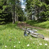 forstweg zum grauner joch