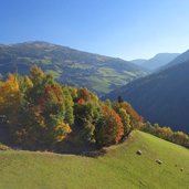 herbst landschaft bei reinswald