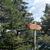 weg grauner joch kurtatsch waldpfad alter jochweg