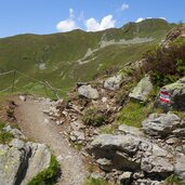 pfad zum gruenbachsee nr