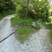 weg grauner joch kurtatsch waldpfad