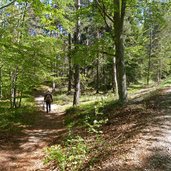 weg zur rotwand aldein goeller