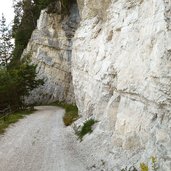 kalk am forstweg grauner joch