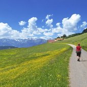 hafling strasse zur leadner alm wanderer