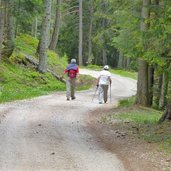 forstweg leadner alm zur voeraner alm wanderer