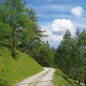 weg abstieg von stierbergalm nach proveis