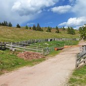 voeraner alm forstweg