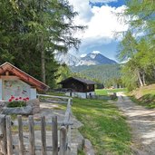 forstweg von wurzer alm nach hafling