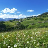 hafling oberdorf