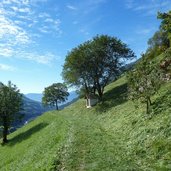 meraner hoehenweg suedlich von matatz wiesen