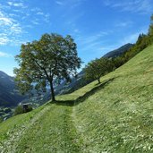 meraner hoehenweg suedlich von matatz wiesen