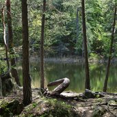 goellersee goeller weiher