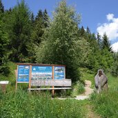 beginn murmeltierweg bei parkplatz