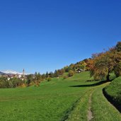 vogelweider rundweg blick auf albions