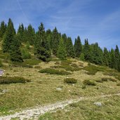 weg a zum kratzbergersee