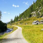 weg nr unterhalb der kehreralm ahrntal