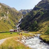 kehreralm im hinteren ahrntal weg nr