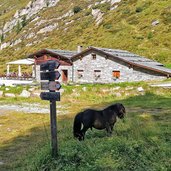 kehreralm im hinteren ahrntal weg nr