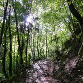 wanderweg nr duererweg von buchholz zum sauchpass