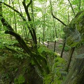 wanderweg nr duererweg von buchholz zum sauchpass