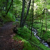 wanderweg nr duererweg von buchholz zum sauchpass